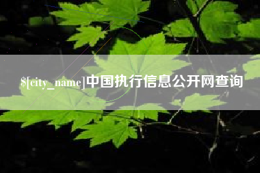 喀什中国执行信息公开网查询