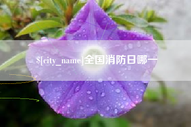 喀什全国消防日哪一