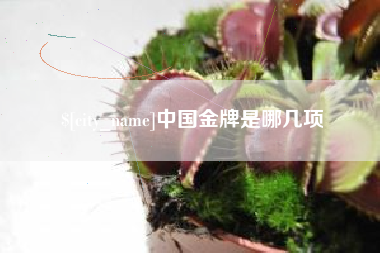 喀什中国金牌是哪几项