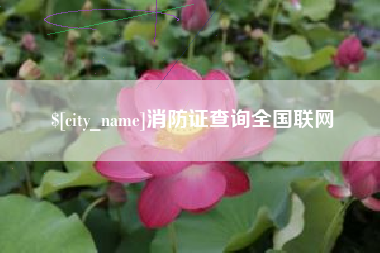 喀什消防证查询全国联网