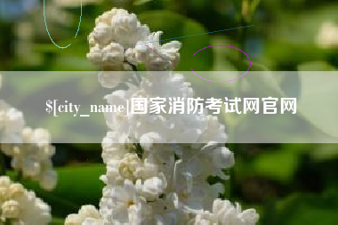 喀什国家消防考试网官网