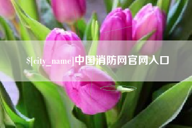 喀什中国消防网官网入口