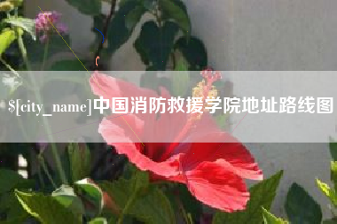 喀什中国消防救援学院地址路线图