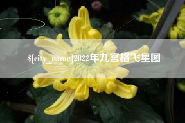 喀什2022年九宫格飞星图
