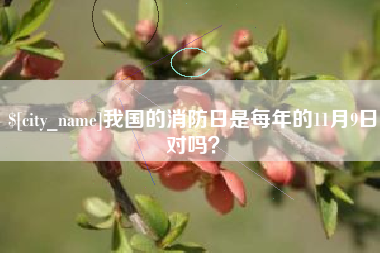 喀什我国的消防日是每年的11月9日对吗？