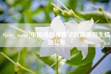 喀什中国消防救援学院湖南招生情况公布
