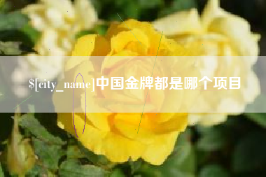 喀什中国金牌都是哪个项目