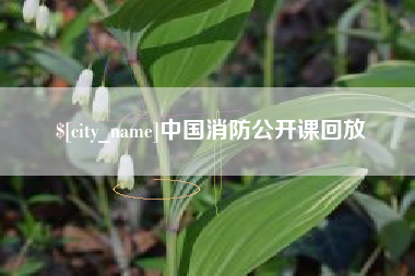 喀什中国消防公开课回放
