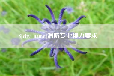 喀什消防专业视力要求
