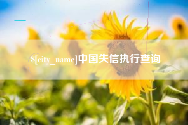喀什中国失信执行查询