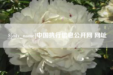 喀什中国执行信息公开网 网址