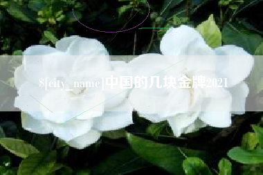 喀什中国的几块金牌2021