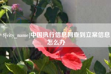 喀什中国执行信息网查到立案信息怎么办