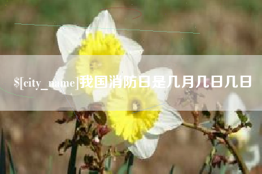 喀什我国消防日是几月几日几日