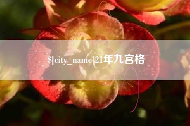 喀什21年九宫格