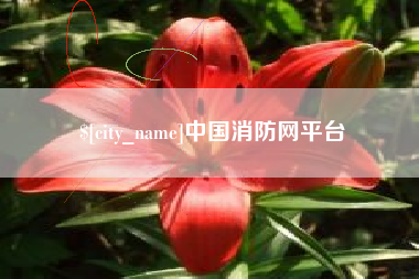 喀什中国消防网平台
