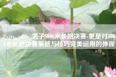 喀什男子5000米长跑决赛-更是对5000米长跑决赛策略与技巧完美运用的体现