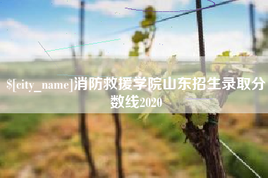 喀什消防救援学院山东招生录取分数线2020