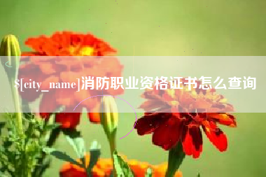喀什消防职业资格证书怎么查询