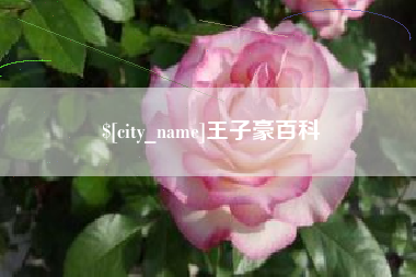 喀什王子豪百科