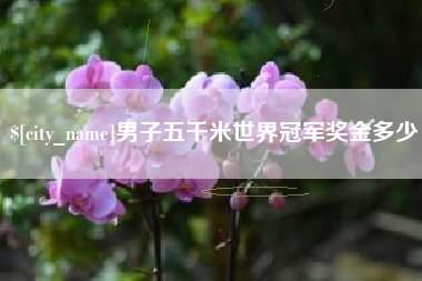喀什男子五千米世界冠军奖金多少