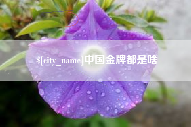 喀什中国金牌都是啥