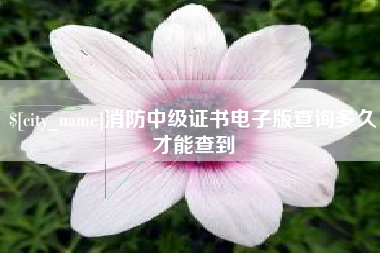 喀什消防中级证书电子版查询多久才能查到