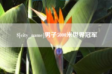 喀什男子5000米世界冠军