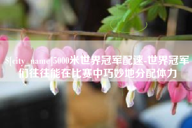 喀什5000米世界冠军配速-世界冠军们往往能在比赛中巧妙地分配体力