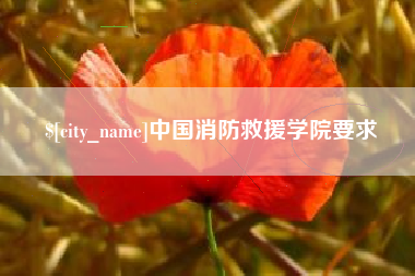 喀什中国消防救援学院要求