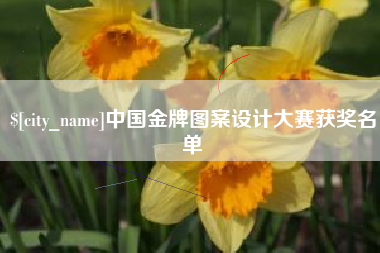喀什中国金牌图案设计大赛获奖名单