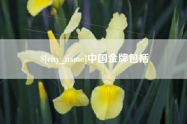 喀什中国金牌包括