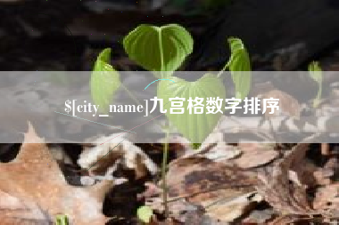 喀什九宫格数字排序