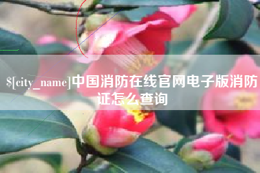 喀什中国消防在线官网电子版消防证怎么查询