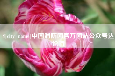 喀什中国消防网官方网站公众号达伦特