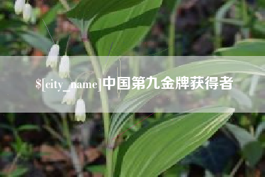 喀什中国第九金牌获得者