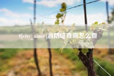 喀什消防证查询怎么查