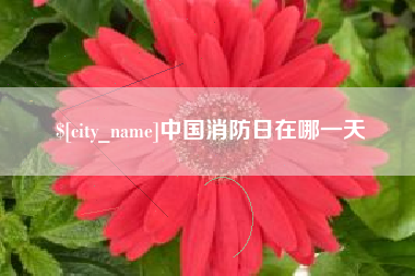 喀什中国消防日在哪一天