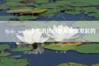 喀什全国消防日是从哪年发起的