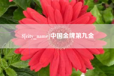 喀什中国金牌第九金