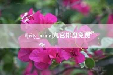 喀什九宫排盘免费