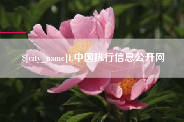 喀什1.中国执行信息公开网