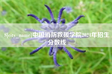 喀什中国消防救援学院2024年招生分数线