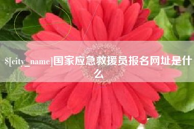 喀什国家应急救援员报名网址是什么