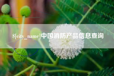 喀什中国消防产品信息查询