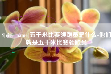 喀什五千米比赛领跑员是什么-他们就是五千米比赛领跑员