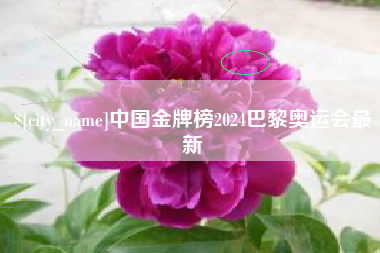 喀什中国金牌榜2024巴黎奥运会最新