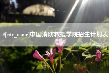 喀什中国消防救援学院招生计划表