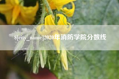 喀什2020年消防学院分数线