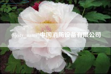 喀什中国消防设备有限公司
